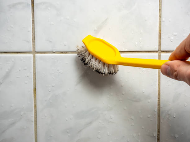 Best Attic Mold Removal  in Walnut, CA